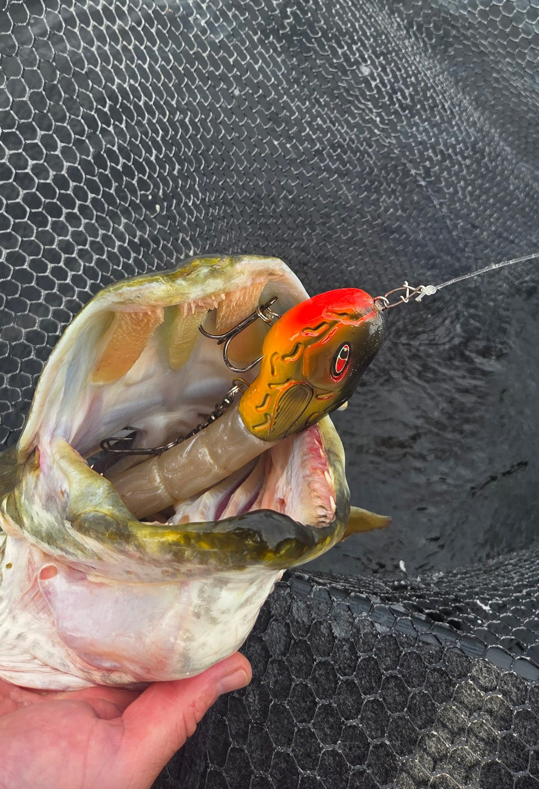 Km handmade lures - Fish caught with handmade lure zoomed