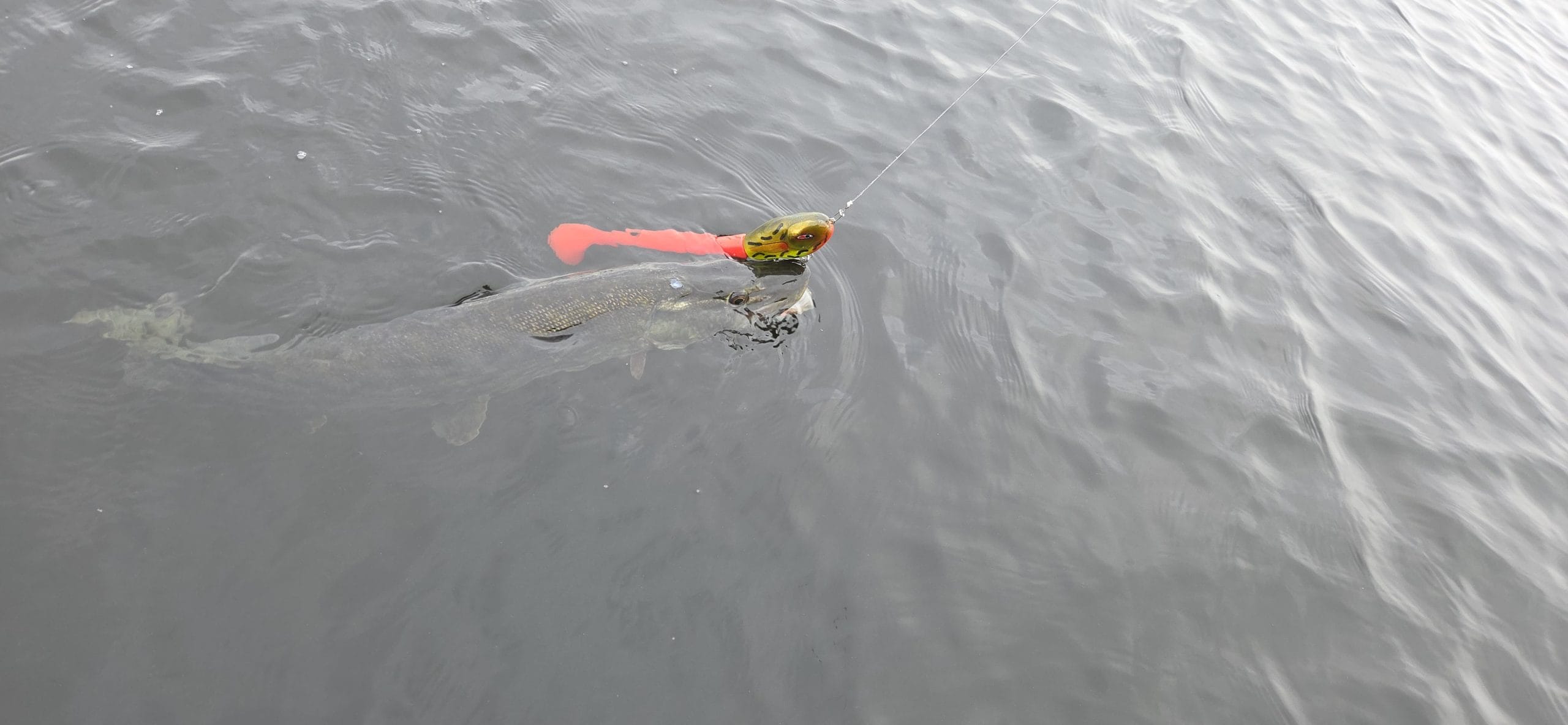 Km handmade lures - Fishing with handmade lures