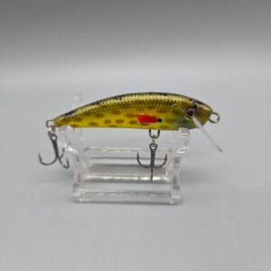 Darter Fire Tiger 2
