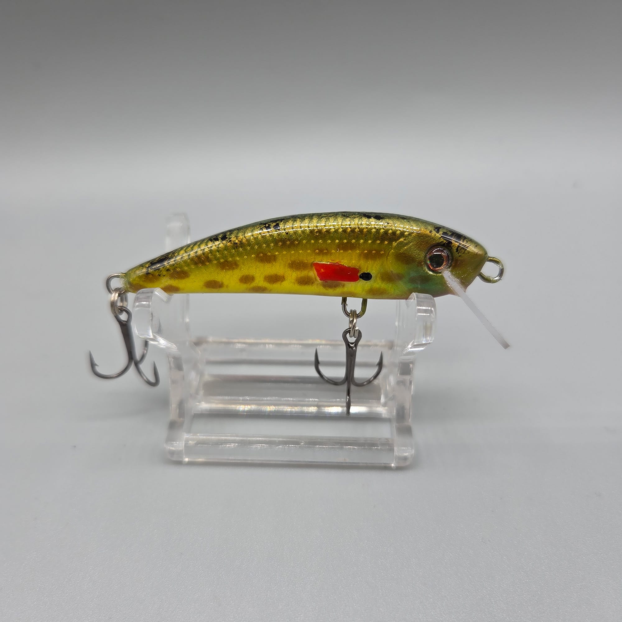 Darter Fire Tiger 2