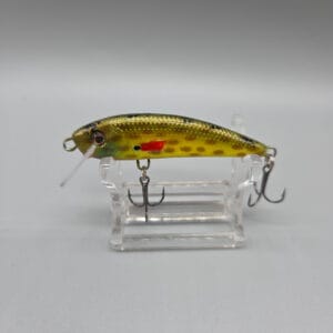 Darter Fire Tiger