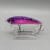 Purple Perch