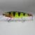 Wild Perch