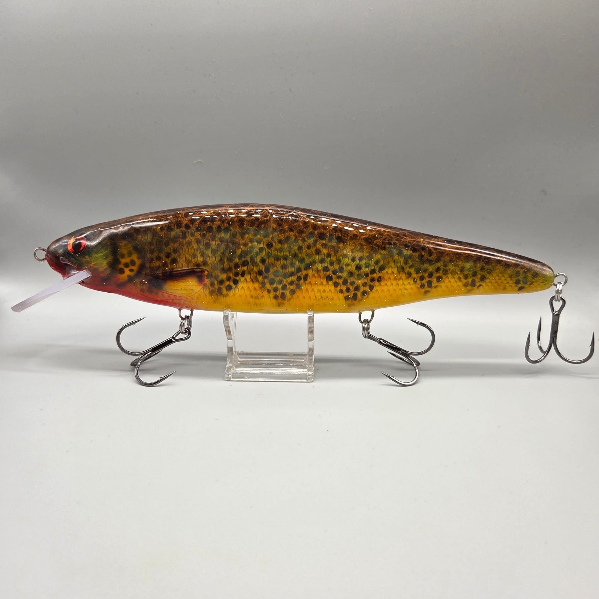 Spotter-Wild-Trout